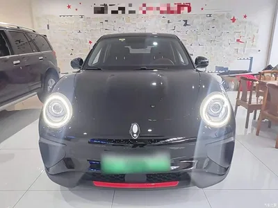 2022 Ora Good Cat GT Mulan Edition 480km Long Range, фото 3, лот 11104145