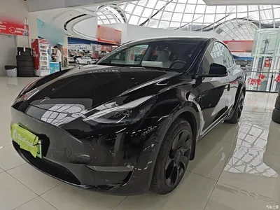 2022 Tesla Model Y Facelift Long Range All-Wheel Drive Version, фото 1, лот 10369920