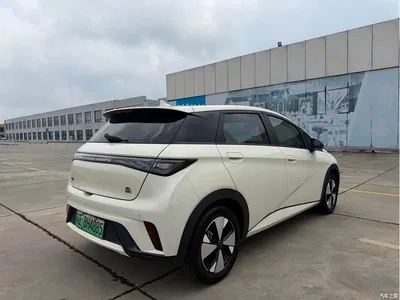 2023 BYD Dolphin 420km Fashion Edition, фото 4, лот 10397972
