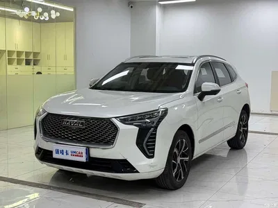 2021 Haval First Love 1.5T Automatic Junior Edition, фото 1, лот 11149912
