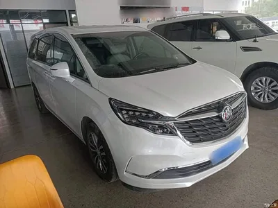 2021 Buick GL8 ES Landlord 653T Comfort, фото 4, лот 10894176