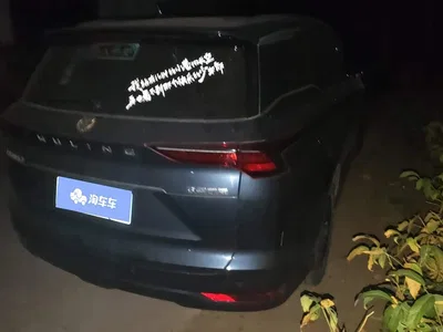 2020 Wuling Motors Wuling Victory 1.5T CVT Flagship, фото 3, лот 10821851