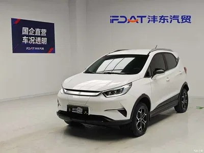 2021 BYD Yuan Pro 401KM Luxury Model, фото 1, лот 11173031