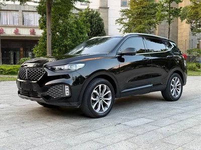 2020 WEY VV6 2.0T 2WD Smart Protection+, фото 1, лот 11193883