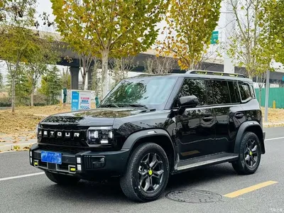 2024 Jetour Traveler 2.0T 4WD Cross PRO+ Entertainment Edition, фото 2, лот 11584844