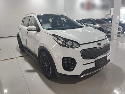 2016 Kia KX5 Model 1.6T Automatic 2WD DLX, фото 4, лот 11179852