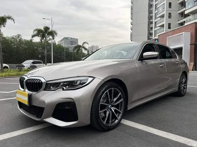 2021 BMW 3 Series 320Li M Sport Package, фото 1, лот 10457920