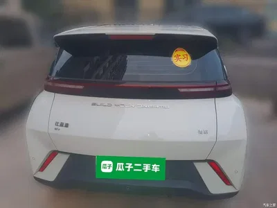 2023 BYD Seagull Freedom Edition, фото 3, лот 11448951