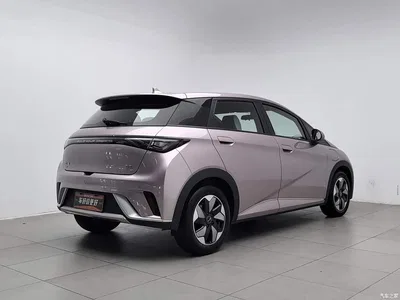 2024 BYD Dolphin Glory Edition 420km Freedom Edition, фото 2, лот 10249966