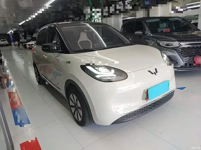 2024 Wuling Motors Wuling Bingo 333km Comfort Edition, фото 4, лот 11502092