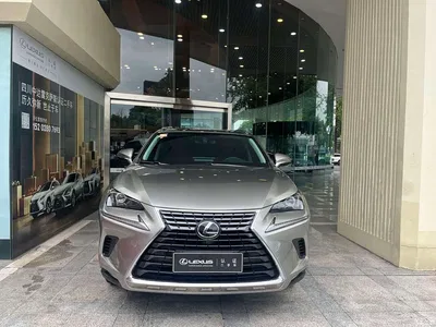 2020 Lexus NX 200 AWD F Sport China VI, фото 1, лот 10612024