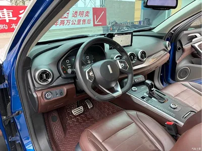 2018 WEY P8 2.0T Flagship Model, фото 4, лот 11152185