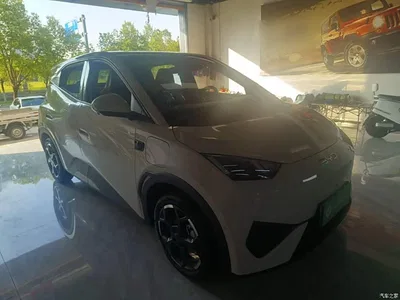 2025 BYD Seagull Smart Drive Edition 305km Freedom Version, фото 4, лот 10260357