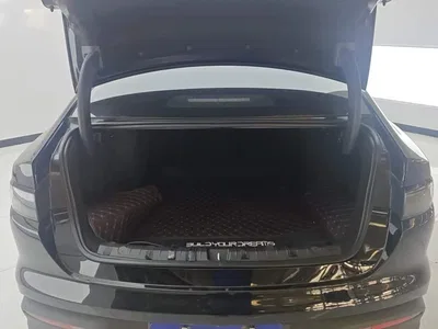 2025 BYD Hai Bao 05 DM-i DM-i Smart Drive Edition 55KM Luxury, фото 4, лот 10273418