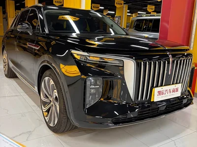 2022 Hongqi E-HS9 660km Qi Ling Edition (4-seater), фото 3, лот 11204183