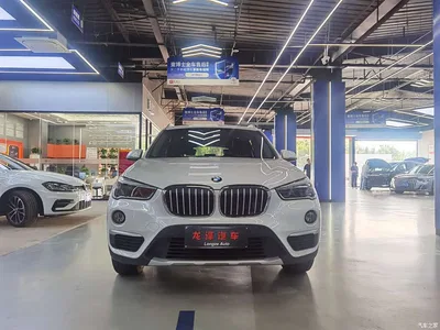 2019 BMW X1 xDrive20Li Luxury Model, фото 2, лот 10465616