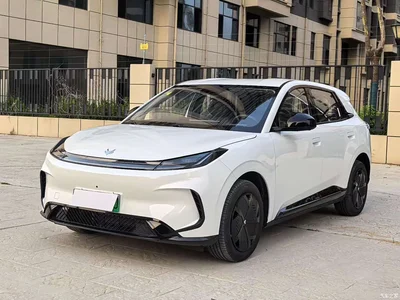 2025 ARCFOX T1 425 Base Version, фото 1, лот 10240494