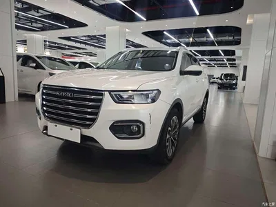 2020 Haval H6 1.5GDIT Automatic Platinum Champion Edition, фото 1, лот 10283658