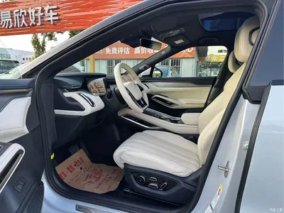 2024 BYD Song L EV Model 662km Excellence, фото 4, лот 10274290