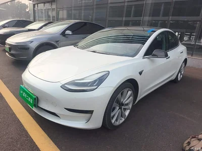 2020 Tesla Model 3 Standard Range Rear-Wheel Drive Upgrade, фото 1, лот 11188216