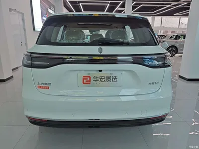 2025 Shangjie SUV Model Extended Range Pro, фото 4, лот 11648258