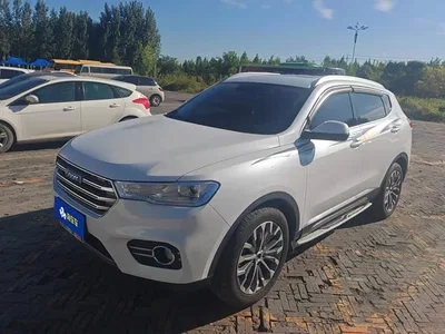 2017 Haval H6 Blue Label 2.0T Automatic 2WD Smart Edition, фото 1, лот 10416150