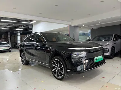 2022 XPeng G9 570 Max, фото 3, лот 10375525