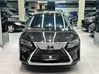 2016 Lexus RX 300 4WD Elegance Edition (China V), фото 2, лот 10318352