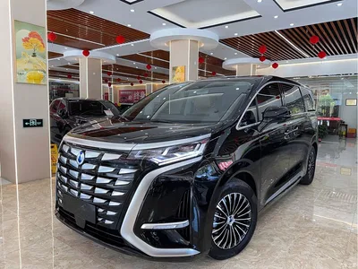 2024 Denza D9 DM-i 980 AWD Premium, фото 1, лот 11202822