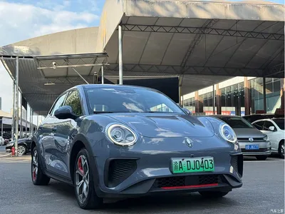 2022 Ora Good Cat GT Mulan Edition 480km Long Range, фото 3, лот 10836533