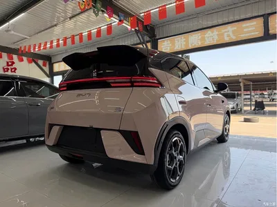 2025 BYD Seagull Smart Driving Edition 405km Flying Edition, фото 4, лот 10679956