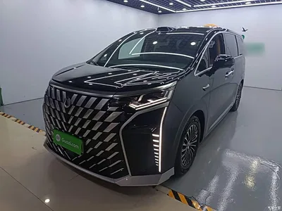 2025 Denza D9 DM-i Smart Drive Edition 1020 AWD Premium, фото 2, лот 10346771