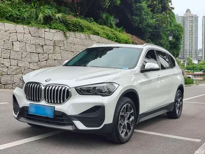 2022 BMW X1 sDrive25Li Leading, фото 1, лот 10577991