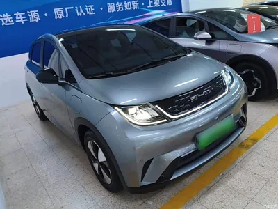 2023 BYD Dolphin 420km Fashion Edition, фото 4, лот 11301699