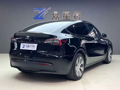 2022 Tesla Model Y Rear-Wheel Drive Version, фото 4, лот 10830254
