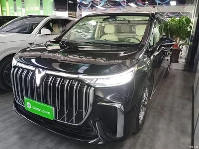 2022 Voyah Auto Voyah Dreamer Low-carbon Dream+Smart Package, фото 1, лот 11175290