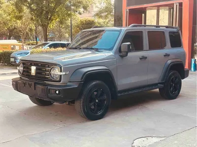 2021 Tank 300 Off-road Edition 2.0T Challenger, фото 1, лот 10889095