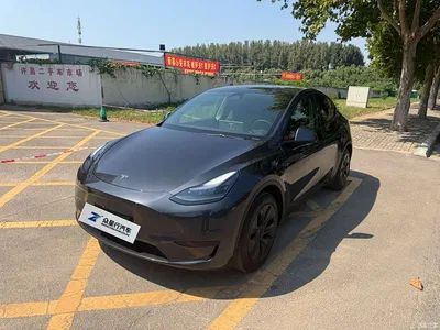 2024 Tesla Model Y Rear-Wheel Drive Version, фото 1, лот 11565629