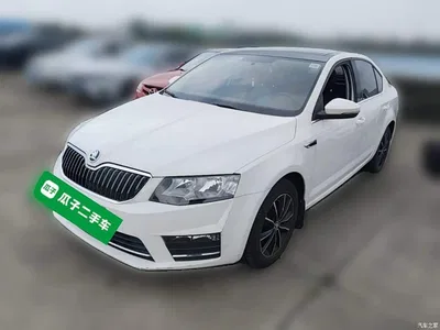 2017 Škoda Octavia 1.6L Automatic Pioneer Edition, фото 3, лот 10816006