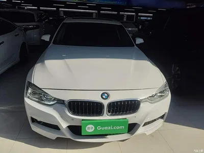 2018 BMW 3 Series 320Li Leading M Sport Package, фото 3, лот 11195989