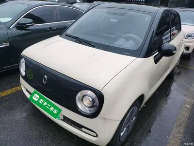 2021 Ora Black Cat 301km Basic Model, фото 1, лот 11249098