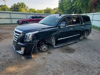 2019 CADILLAC ESCALADE LUXURY, фото 1, лот 10865075