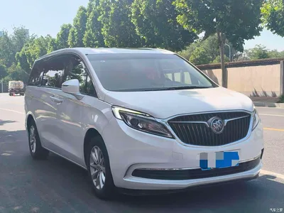 2017 Buick GL8 ES 28T Luxury China V, фото 2, лот 10245705