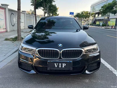 2020 BMW 5 Series 530Li Leading M Sport Package, фото 2, лот 11570595