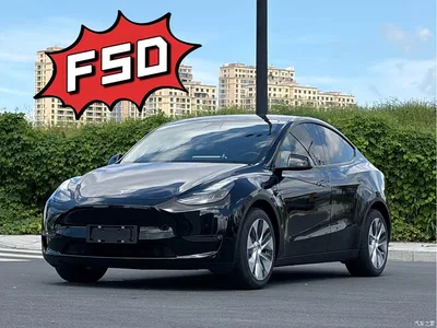 2021 Tesla Model Y Model Long Range AWD, фото 1, лот 11193371