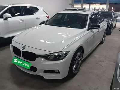 2019 BMW 3 Series 320Li M Sport Black Night Edition, фото 2, лот 10457474