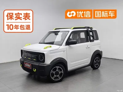 2025 Geely Galaxy Panda Model Year 210km Panda Knight, фото 1, лот 10511825