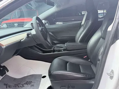 2020 Tesla Model 3 Standard Range Rear-Wheel Drive Upgrade, фото 4, лот 10353712