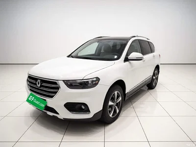 2017 Haval H6 Blue Label Sport 1.5T Manual 4WD Elite, фото 1, лот 10448372