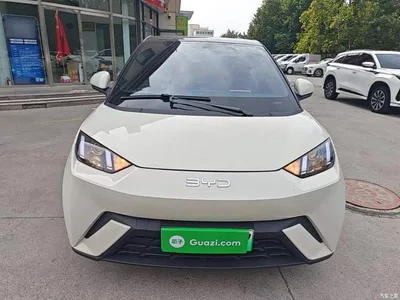 2024 BYD Seagull Glory Edition 305km Vitality Edition, фото 3, лот 11198916